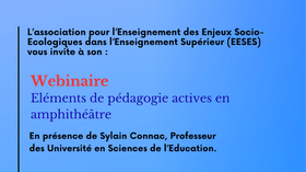 Les pédagogies actives en amphithéâtre